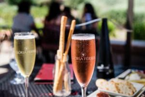 瓦拉多利德阵容有变化，备战下一场比赛