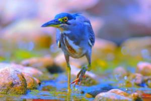 奥莫罗迪诺远射破门，带挪威队晋级欧国联决赛