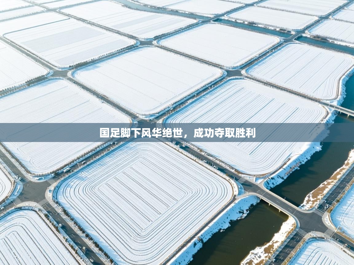 国足脚下风华绝世，成功夺取胜利  第2张